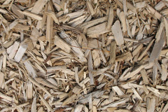 biomass boilers New Skelton